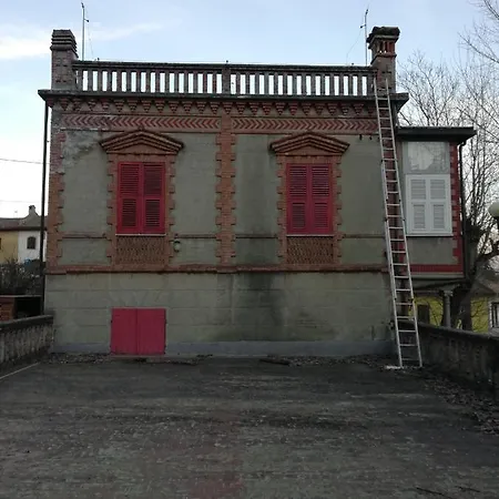 Gatto Bianco