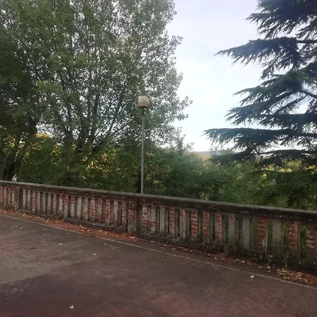 Gatto Bianco Carpeneto