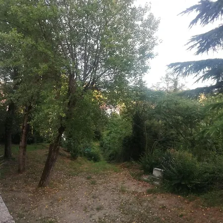 Gatto Bianco Carpeneto