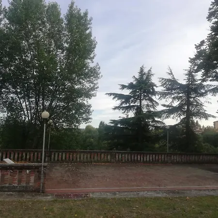 Gatto Bianco *