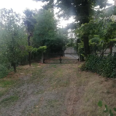 Gatto Bianco