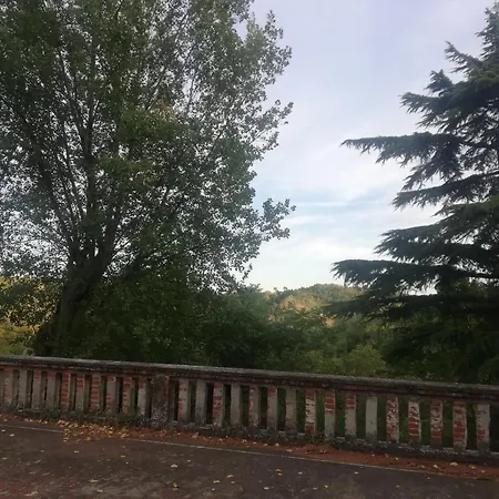 Gatto Bianco Carpeneto
